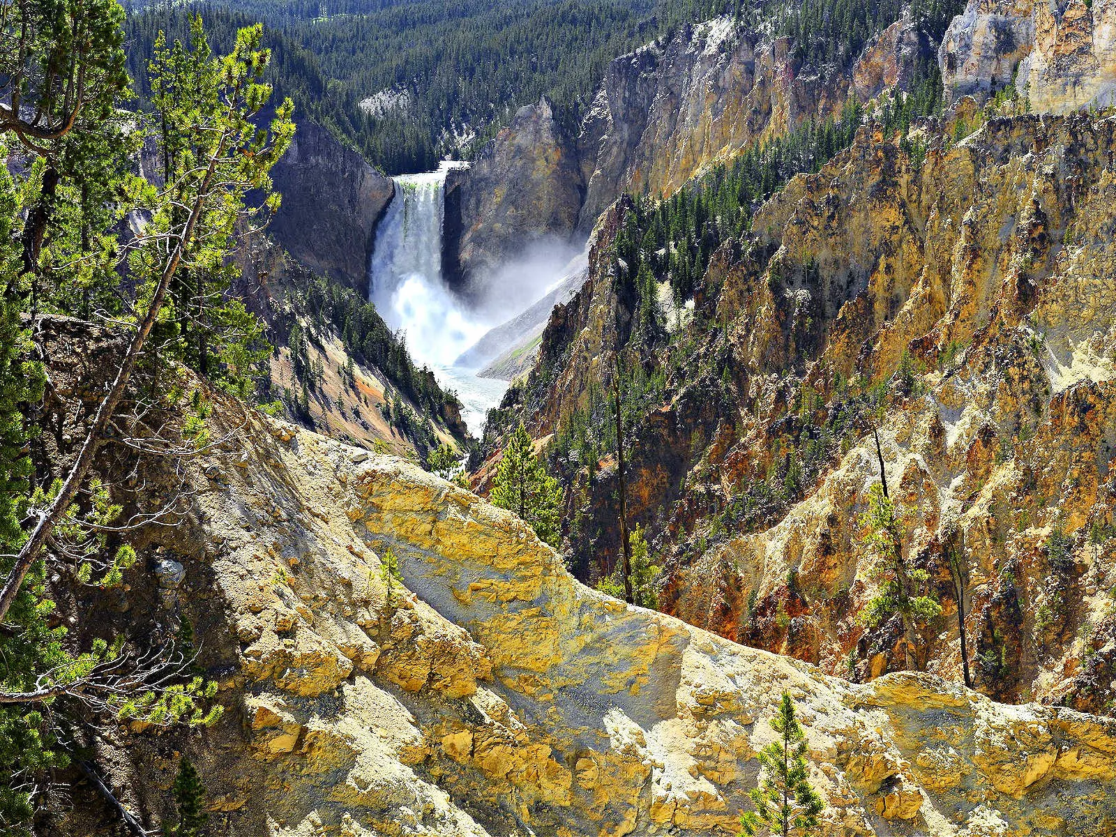 Experience These Six Amazing Yellowstone Adventures