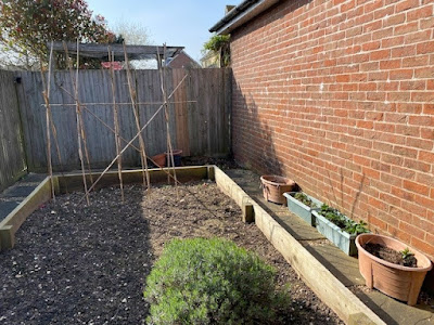 Vegetable patch ready to tidy up for spring