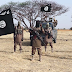 Boko Haram: 6 killed, 11 abducted in Adamawa