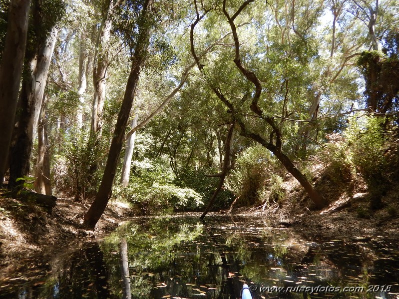 Kayak río Palmones