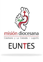 MISIÓN DIOCESANA