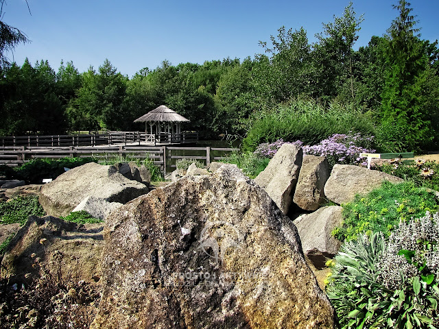 Arboretum w Stradomii - Widok na jeden ze stawów arboretum