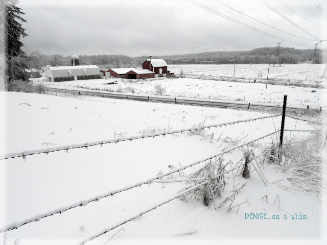 Winter Ice Storms via http://deniseonawhim.blogspot.com