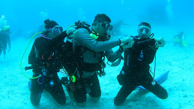 Baby Shark Dance Challenge Underwater Raja Ampat Papua