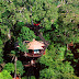 10 Of The Wildest Tree House Locations