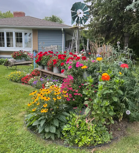 Photo of a front yard junk garden border 2023.