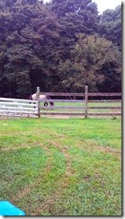 IMG_20140912_121527