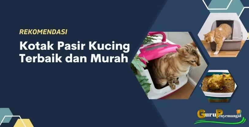 Kotak Pasir Kucing Terbaik dan Murah