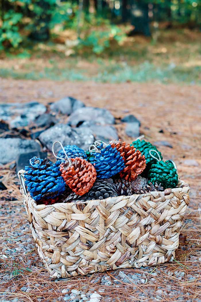 How to Make Pinecone Fire Starters - Koti Beth