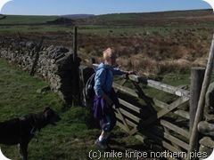 ivy on the pw