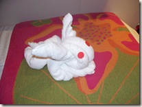 Bunny side view