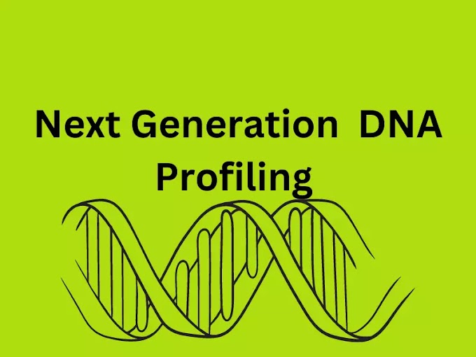 Next-Generation DNA Profiling