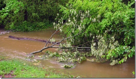 bridge washed out