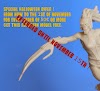 Halloween offer extended !