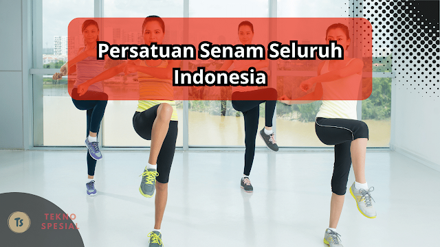 Persatuan Senam Seluruh Indonesia Disebut? Ketahui Pengertian dan Sejarahnya