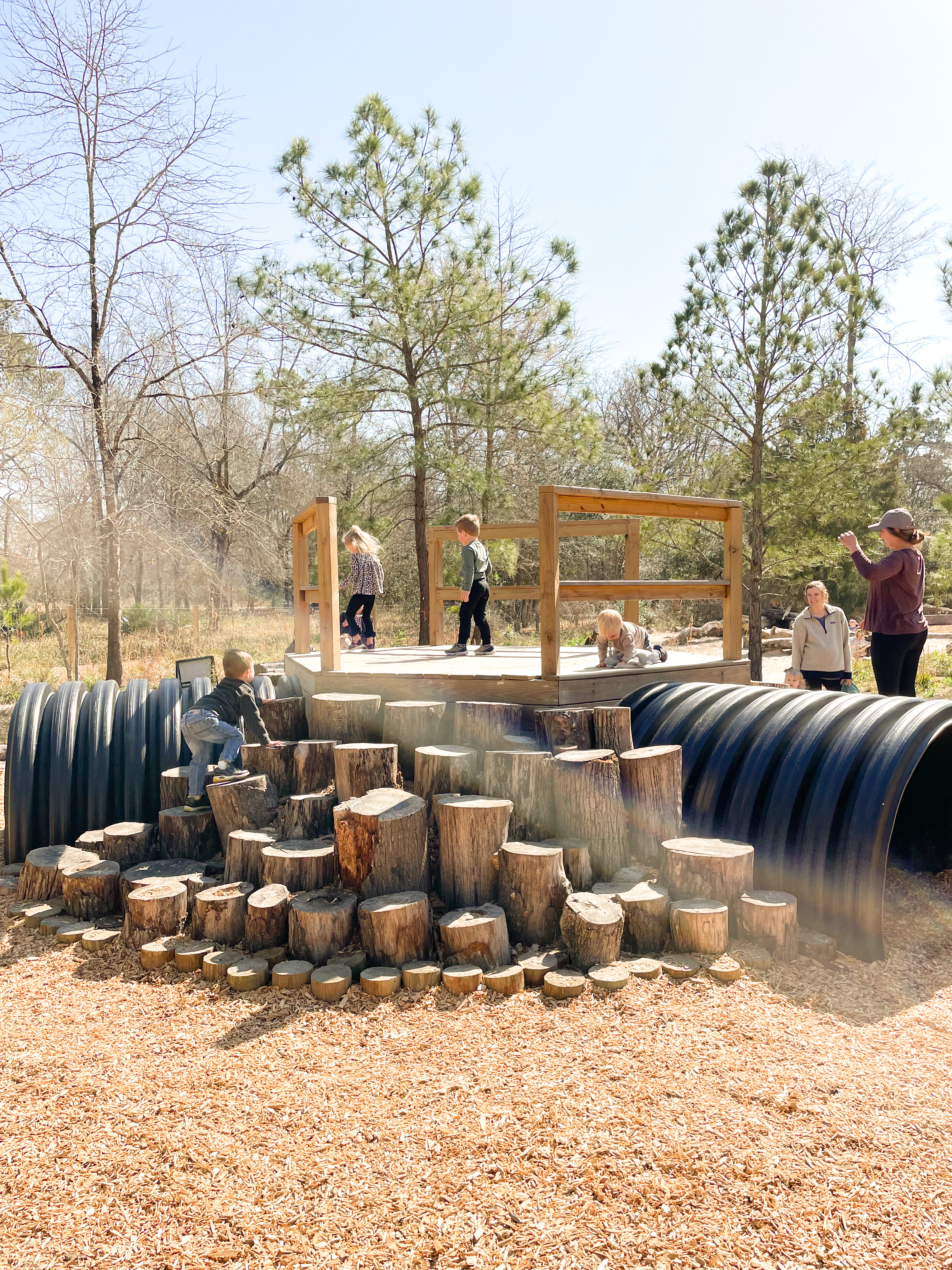 Playscape at Houston Arboretum