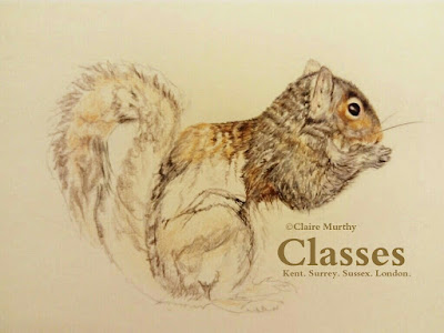 Wildlife art classes : local British wildlife art class.