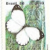 1986 - Brasil - Pierriballia