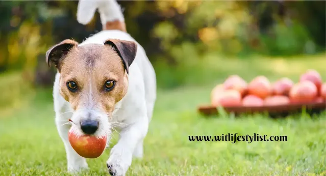 can dogs eat apples, are apples good for dogs, can dogs eat apples, How to Keep Apples from Turning Brown, can dogs have apples,