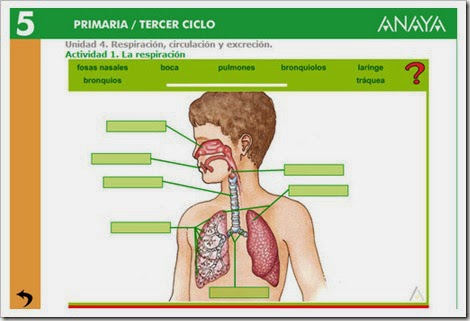 http://www.ceiploreto.es/sugerencias/A_1/Recursosdidacticos/QUINTO/datos/02_Cmedio/datos/05rdi/ud04/01.htm