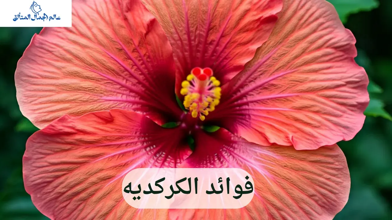 فوائد الكركديه