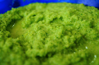 ricetta pesto broccoli vegan