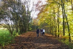 the old railway bed