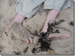 Les pieds de Pierre