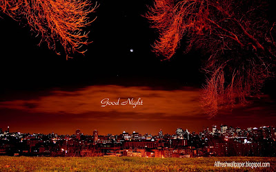 wish-a-lovely-night-to-your-loved-ones-images