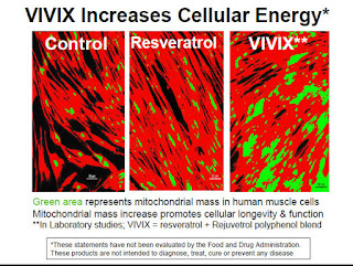 vivix, vivix shaklee, sel manusia, vivix rawat kanser, rawatan kencing manis, rawatan diabetes, vivix tonik ajaib, keistimewaan vivix, shaklee melaka, vivix melaka, shaklee masjid tanah