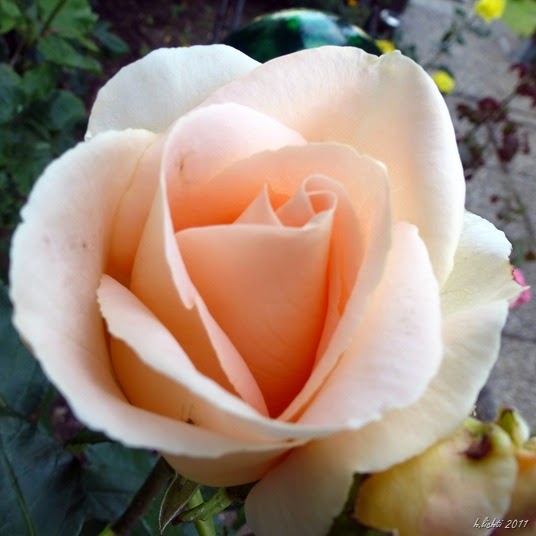 P1050746