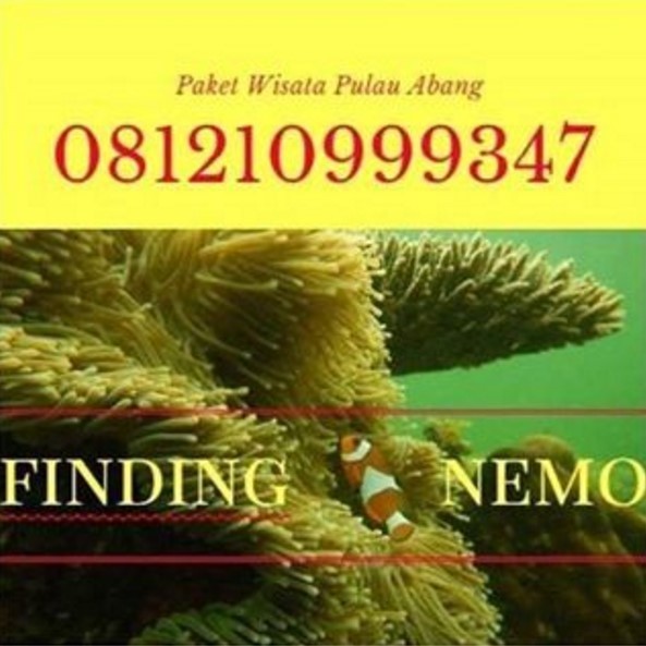 Pulau Abang Island Adventure Iklan Promosi Kepri Promotion