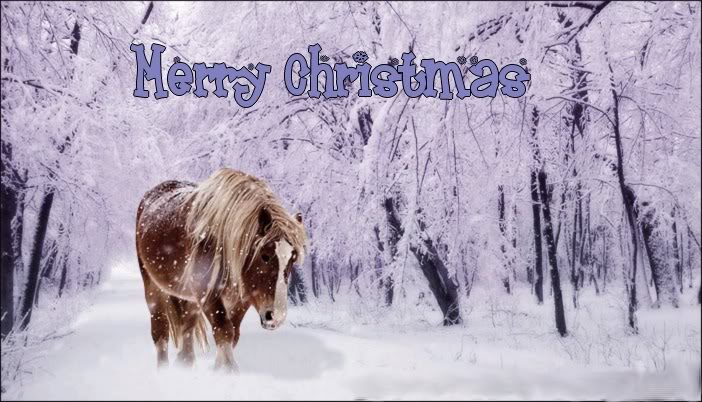 horses in snow wallpaper. From all of us here at Iron Ridge Sport Horses. May your day be filled with 