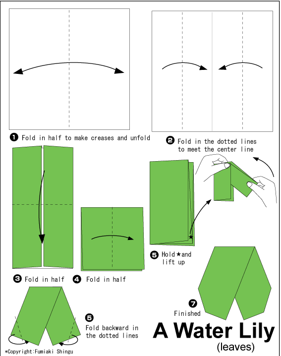 Water Lily Easy Origami Instructions For Kids