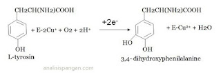 reaksi monofenol menjadi odifenol