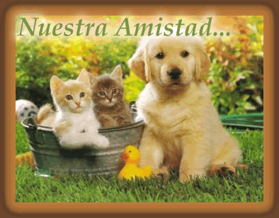 amor y amistad
