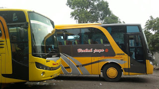 carter Bus Pariwisata PO. Berkah Jaya Gresik