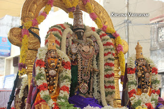 Satrumurai,Ippasi,purappadu,Thiruvallikeni, Thirumoolam,Sri Parthasarathy Perumal,Manavala Maamunigal,Varavaramuni, Temple, 2017, Video, Divya Prabhandam,Utsavam,