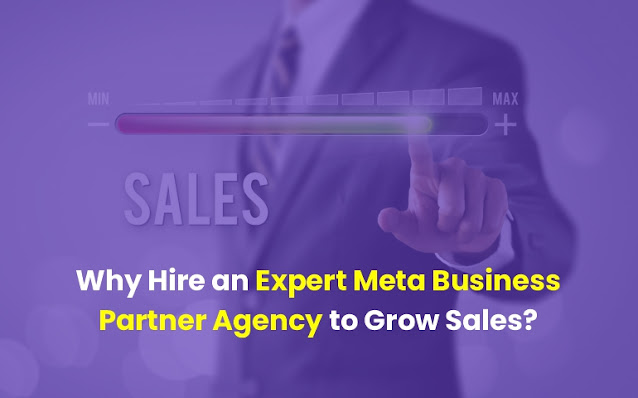 Expert Meta Business Partner Agency