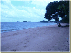 clip_image002