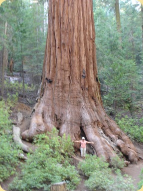 Yosemite National Park, CA 266