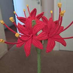 Lycoris a crochet