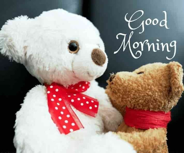  Good Morming Teddy Bear