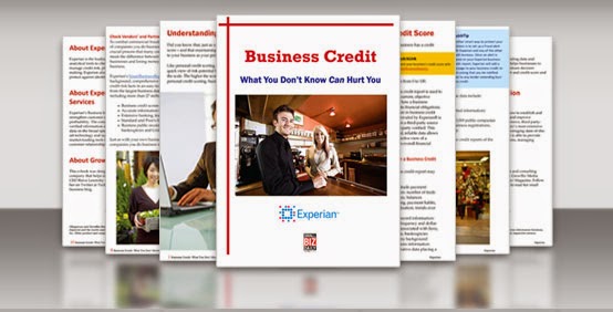 business credit information