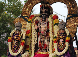 Vasantha utsavam,Day 02,Parthasarathy Perumal, Varushotsavam, 2018, Video,  Thirunakshatram,Divya Prabhandam,Triplicane,Thiruvallikeni,Utsavam,