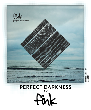 Perfect Darkness by Fink