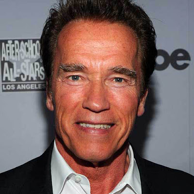 Arnold Schwarzenegger 2012 Wallppers