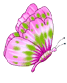 Gif de borboleta
