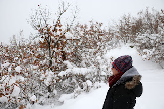 A admiring the wintry view