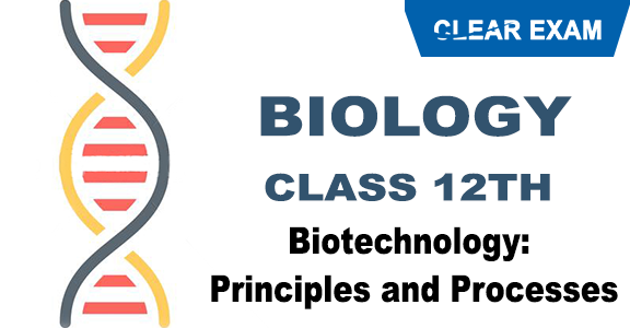 Biotechnology: Principles and Processes